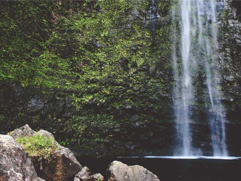 sudoku world championship screenshot 5